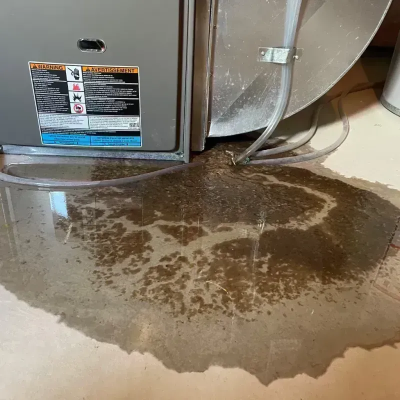 Appliance Leak Cleanup in Denver, CO